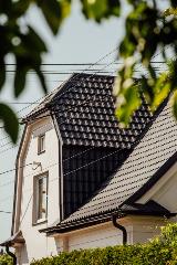 IMG_7296