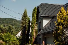 IMG_7408