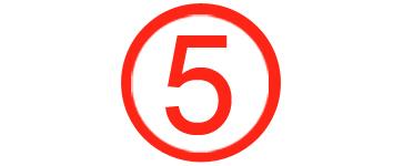 phase-5-icon